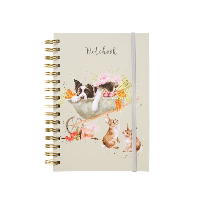 Wrendale Designs 'Sleeping on the Job' Border Collie and Rabbit Notebook
